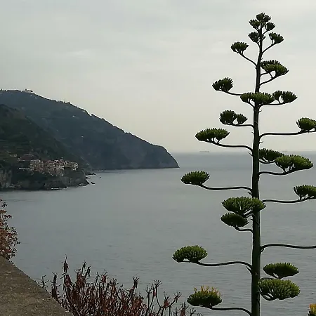 La Piccola Casa Di Rosa Borgo Marola Sul Golfo Διαμέρισμα